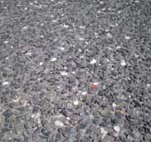 Macquarie