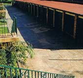 regal,beige,samon,bluestone,release.